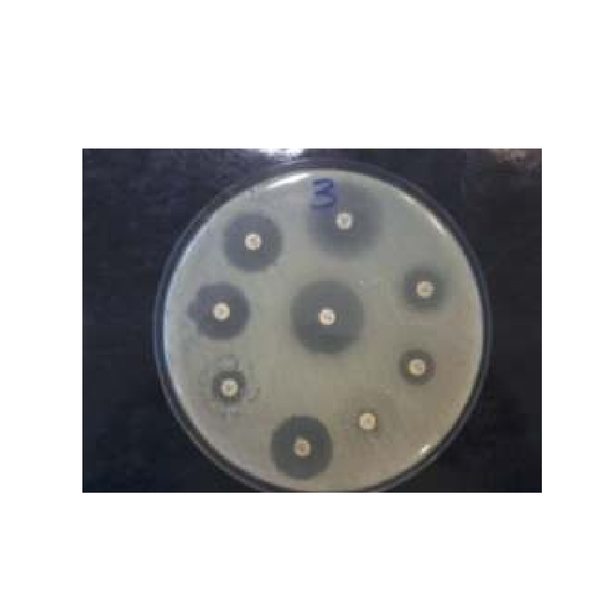 Oxoid™ Fosfomycin Antimicrobial Susceptibility Disks, 50 μg / Discos de susceptibilidad antimicrobiana a fosfomicina Oxoid™, 50 μg
